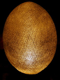 Egg Lamp